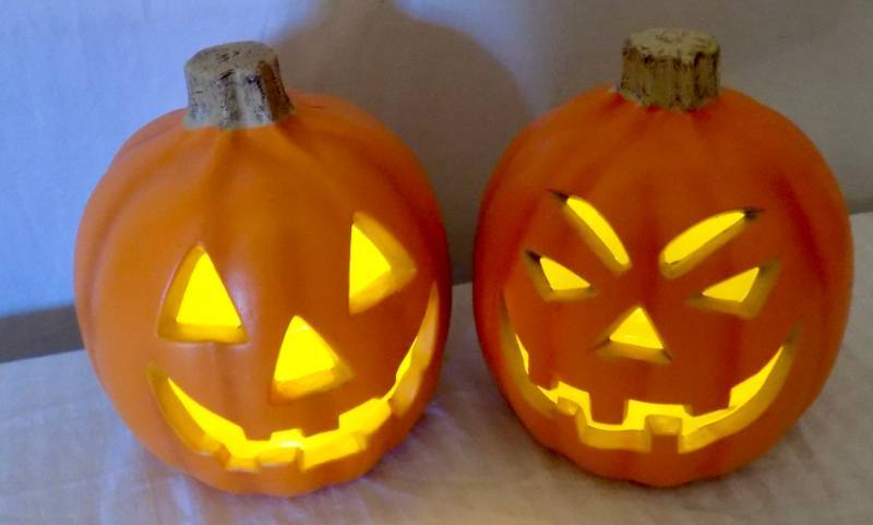 lot 15 image: 11 Halloween Items -Costumes and Decorations