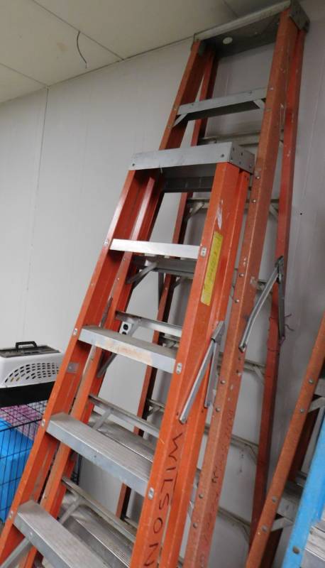 lot 30 image: Fiberglass Step Ladders