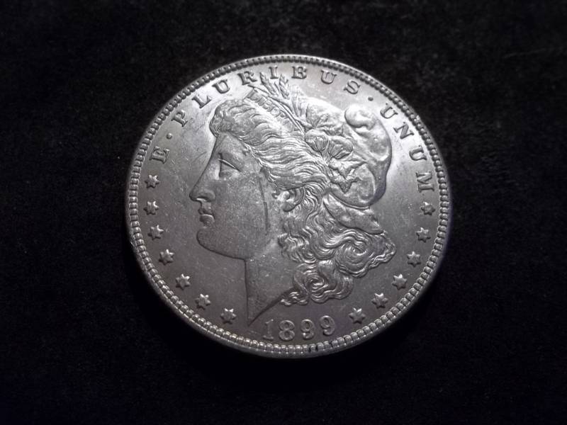 1899 Morgan Silver Dollar