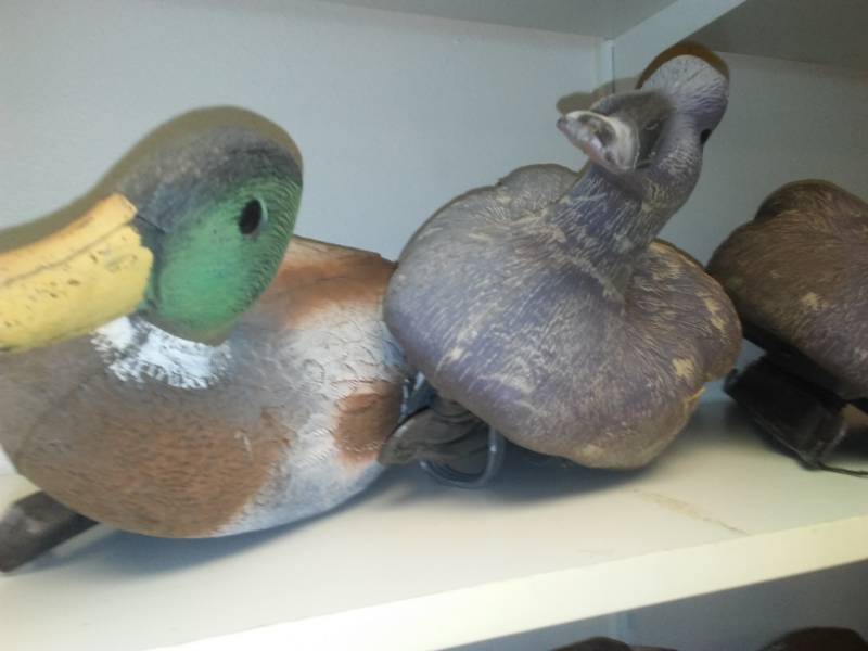 lot 2 image: Duck decoys - 10, Magnums, Mallards, most with weights.