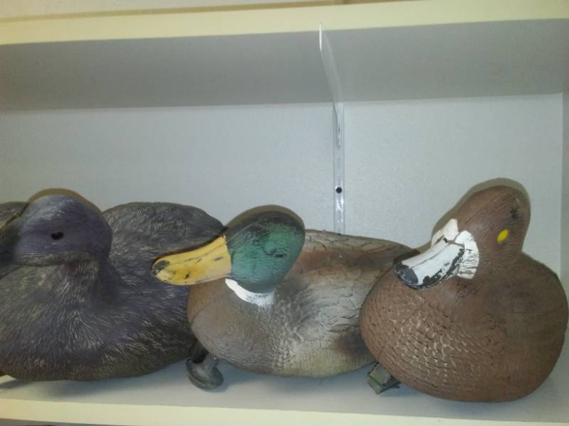 lot 3 image: Duck decoys - 11, Magnums, Mallards, some have weights.