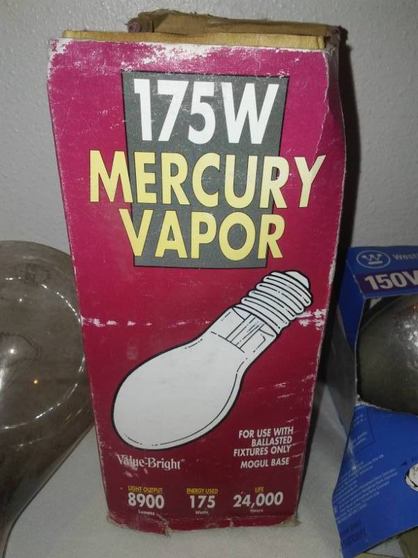 lot 61 image: 14 large base bulbs.