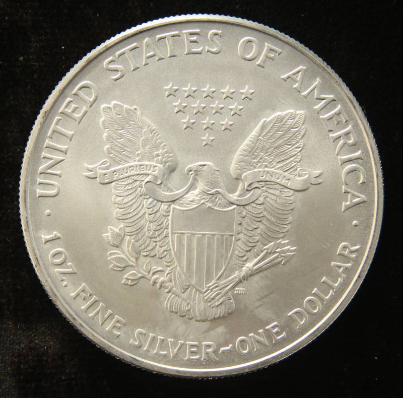 2007 AMERICAN SILVER EAGLE 1 TROY OZ. .999 FINE SILVER DOLLAR