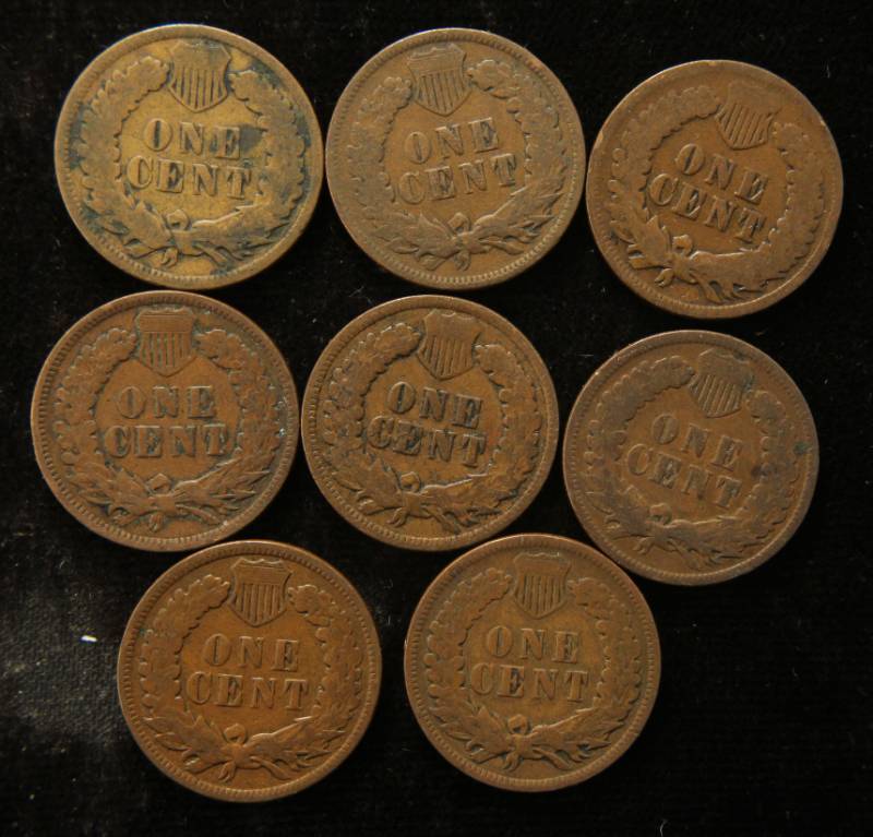(8) INDIAN HEAD CENTS AS PICTURED