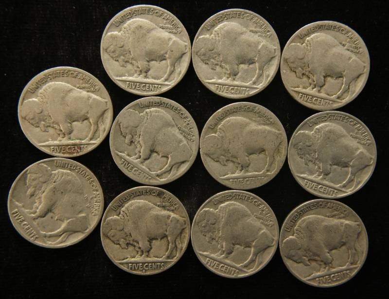 (11) US BUFFALO NICKELS AS PICTURED