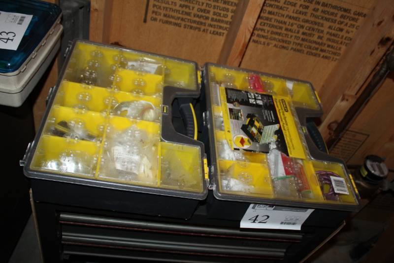 lot 42 image: Lot of (2) Stanley Professional Deep Storage Organizers