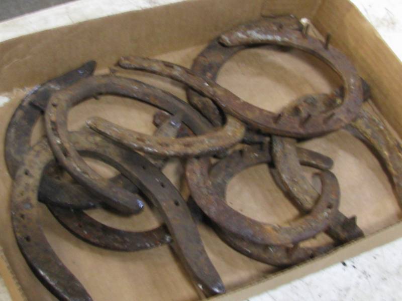 Horse Shoes