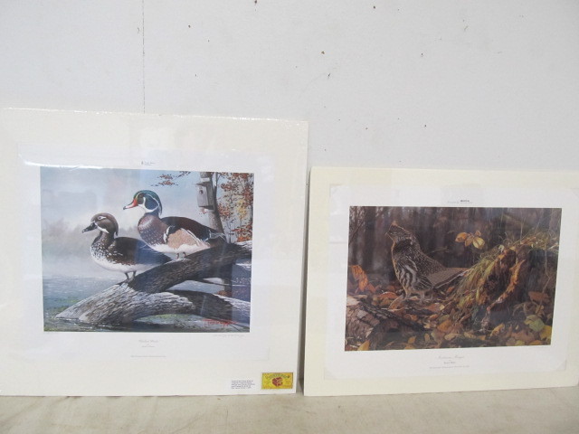 lot 65 image: 2 Signed & Numbered Wildlife Prints