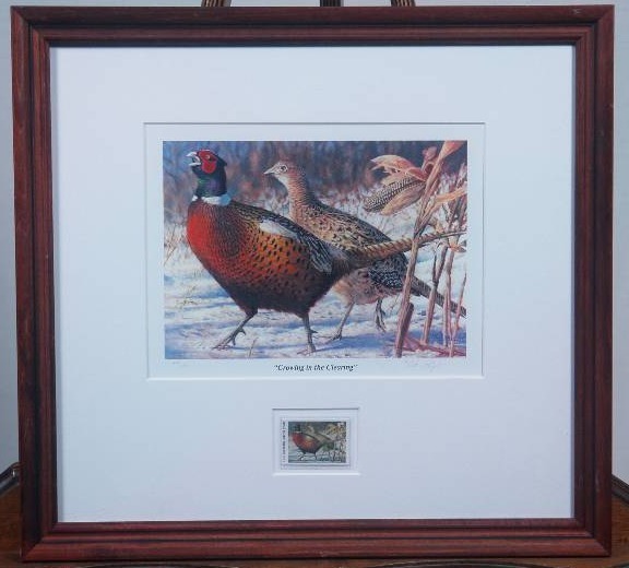 lot 71 image: 2002 Minnesota Pheasant Stamp Print  Crowing In The Clearing 4392500 artist Nick Reitzel