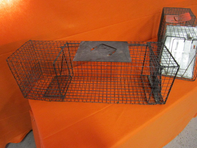 lot 62 image: (2) Live Traps