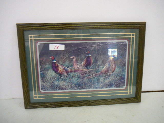 lot 18 image: Framed Print Pheasant