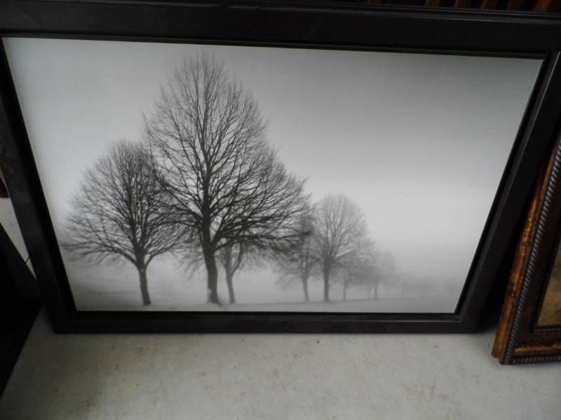 lot 30 image: Black & White Tree Picture