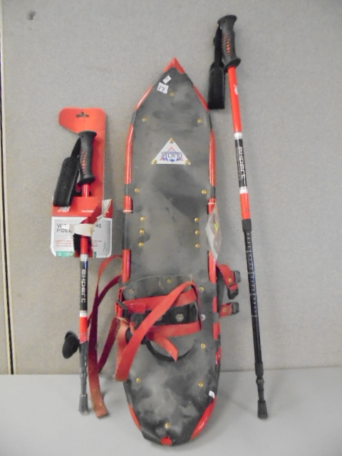 lot 17 image: Snow Shoes and Poles