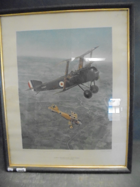 lot 144 image: Framed Tri-Plane Print
