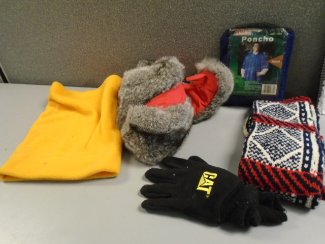 lot 197 image: Winter apparel Accessories