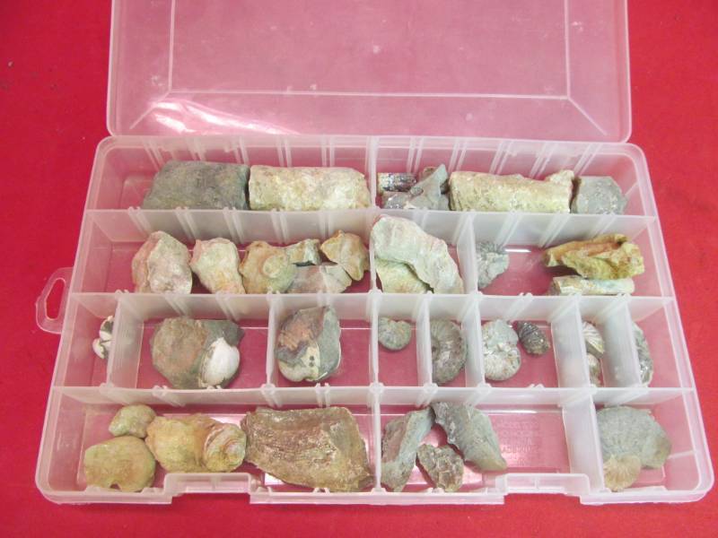 lot 84 image: Variety of rocks