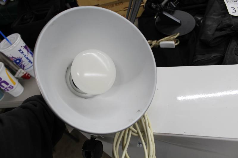 lot 30 image: Overhead Light