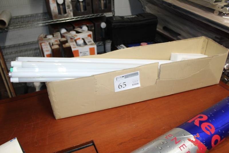 lot 65 image: Lot of (10) Fluorescent Lights