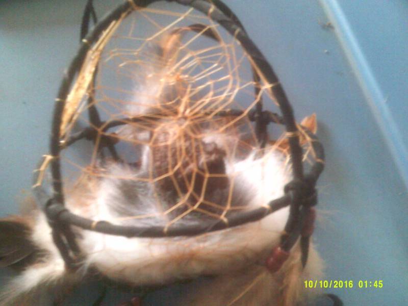 ROUND BALL DREAM CATCHER
