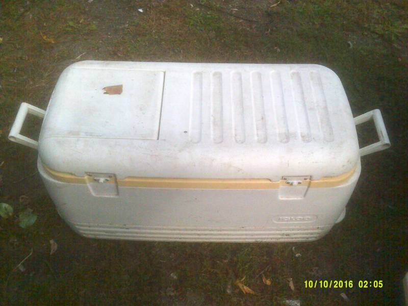 EXTRA LG IGLOO COOLER
