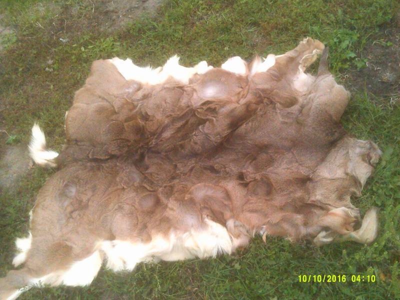TANNED DEER HIDE
