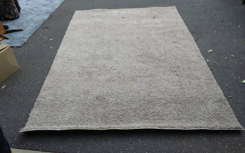Beige Shag Rug 9x6