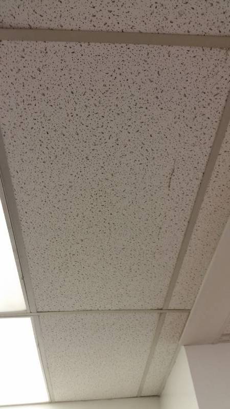 Hundreds of Ceiling Tiles. through out the Building
