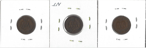 Three Different Indian Pennies - 1893, 1901, & 1906
