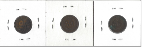 Three Different Indian Pennies - 1890, 1901, & 1903