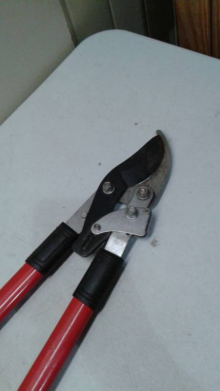 lot 24 image: Pair Of Tree Pruning Shears
