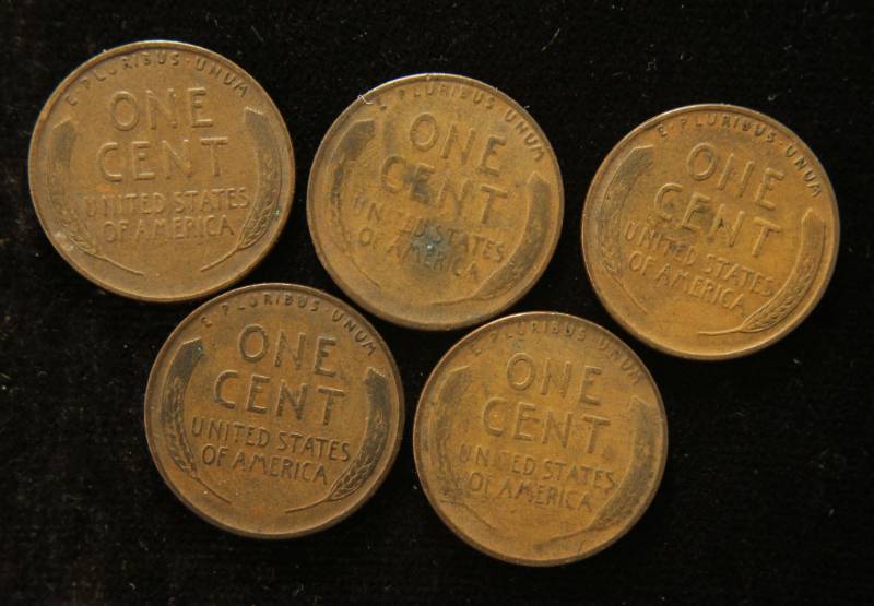 lot 65 image: 5 US WHEAT CENTS 1930 P-D-S 1931 P-D