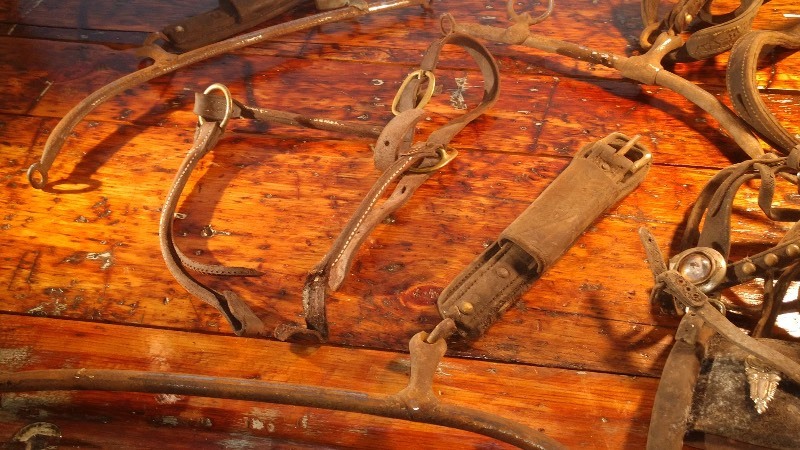 Vintage Horse Tack