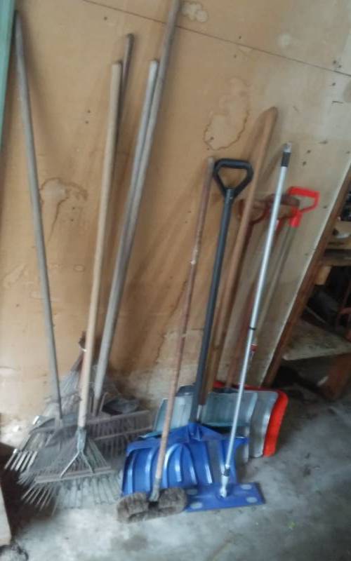 lot 99 image: Shovels, Rakes, Brush