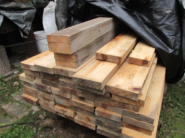 lot 138 image: Norway Pine & Douglas Fir 