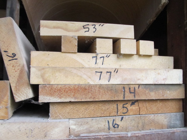 lot 137 image: PONDEROSA PINE