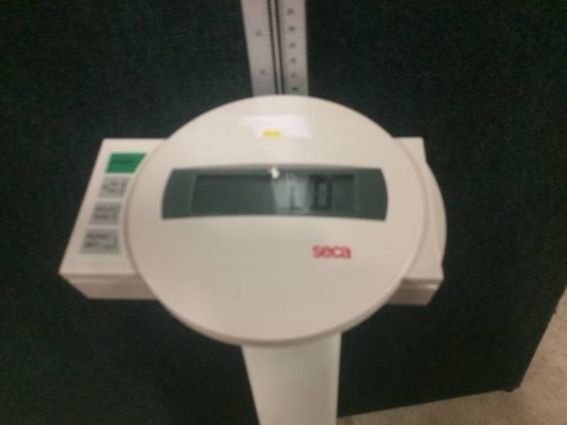 Seca 769 Digital 450lb Capacity Patient Electronic Column Scale with BMI - Excellent Working Condition