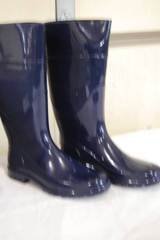 Sportsman 188 Boot and Shoe