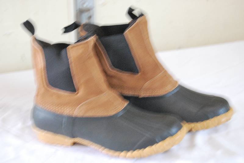 Sportsman 188 Boot and Shoe