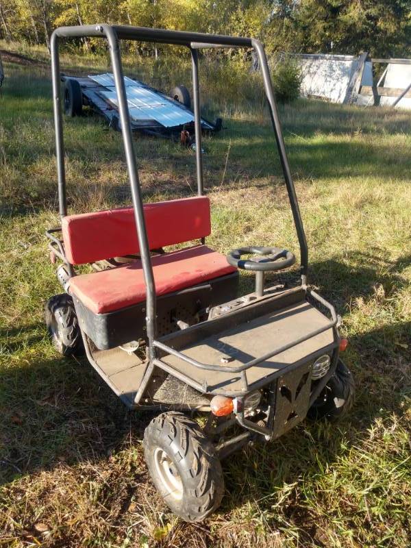 lot 1 image: 2008 TAO TAO Mini Side By SideATV