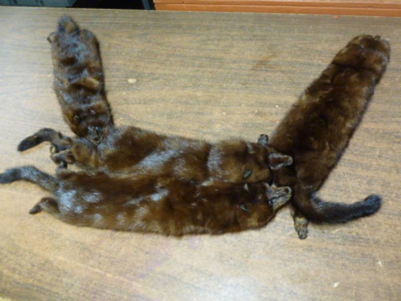lot 80 image: Vintage Mink Shawl