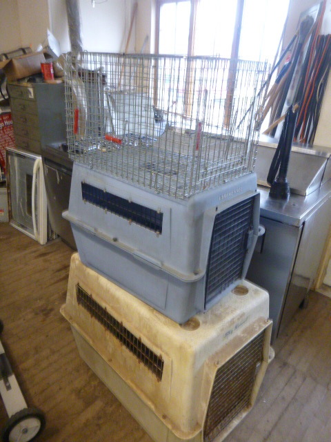lot 55 image: 3 Dog Kennels