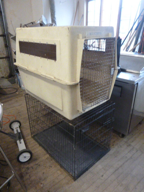 lot 56 image: 2 Dog Kennels
