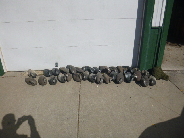 lot 23 image: 30 Duck Decoys