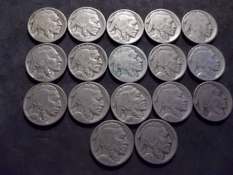 17 Buffalo Nickels Assorted Dates Some VF