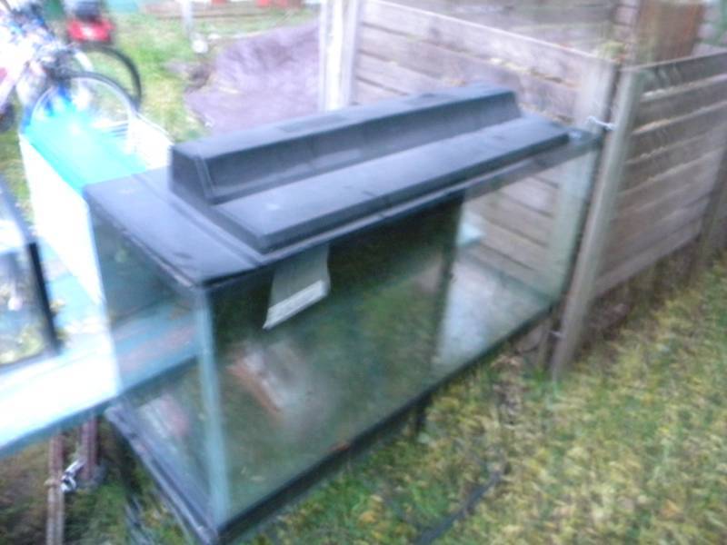 Aquarium & Stand