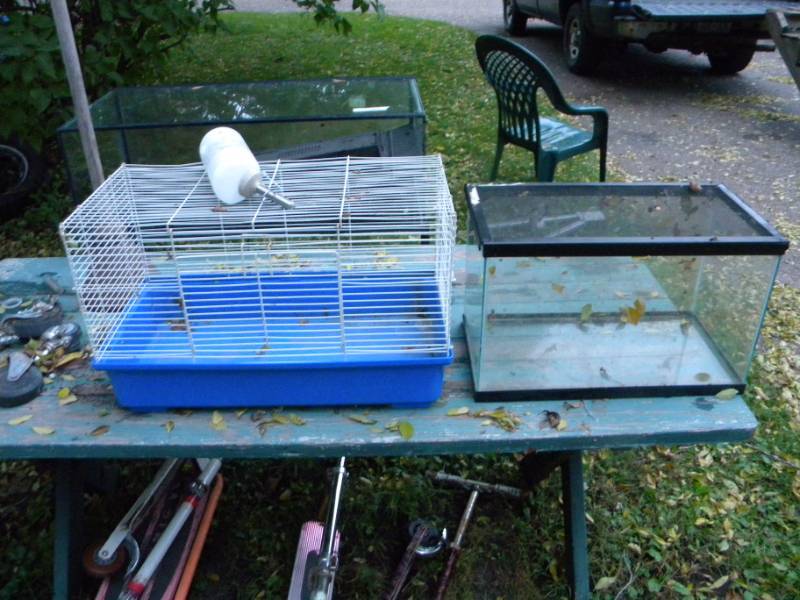 Aquarium & Cage for Small Animals