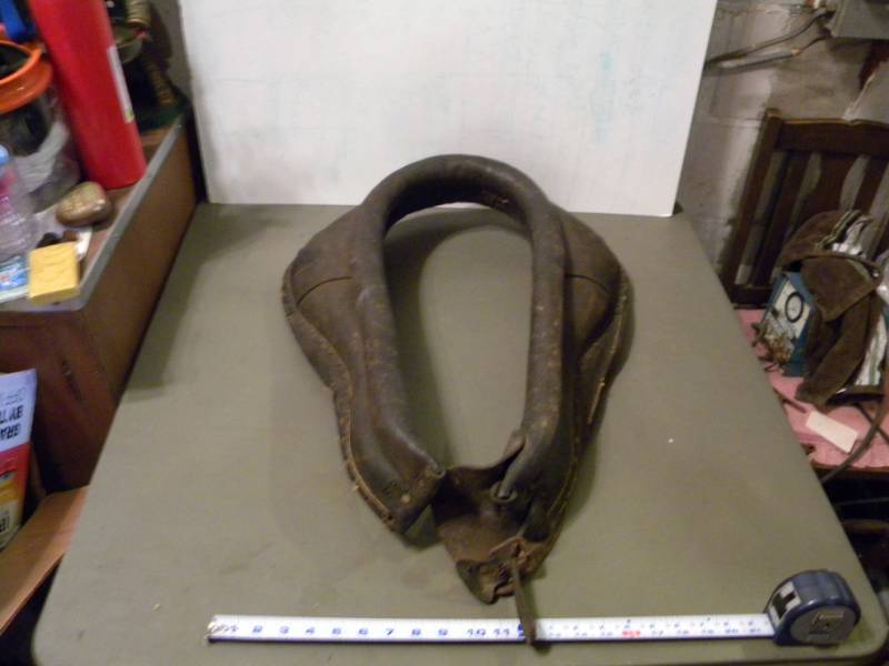 Horse Collar