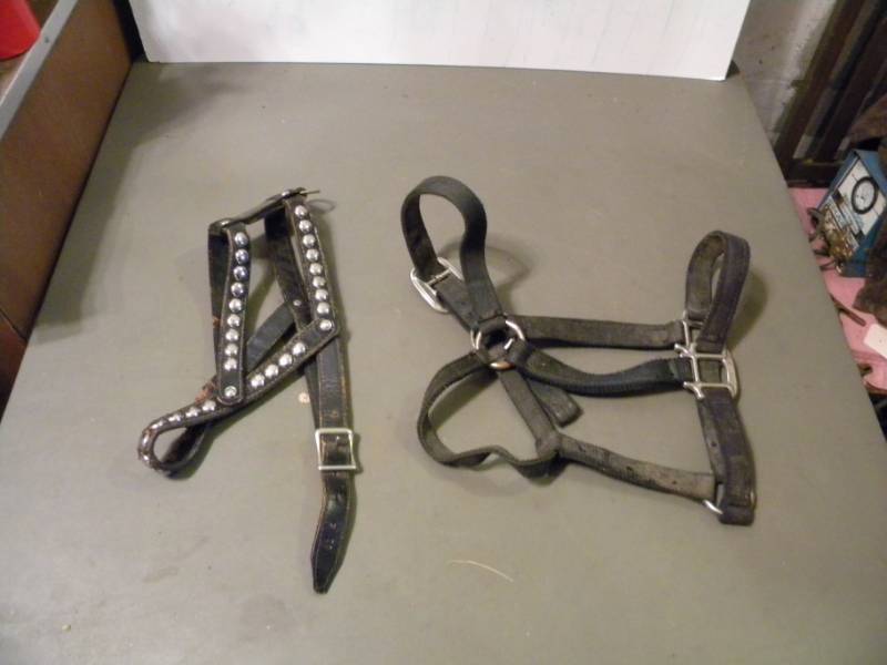 2 Horse Halters