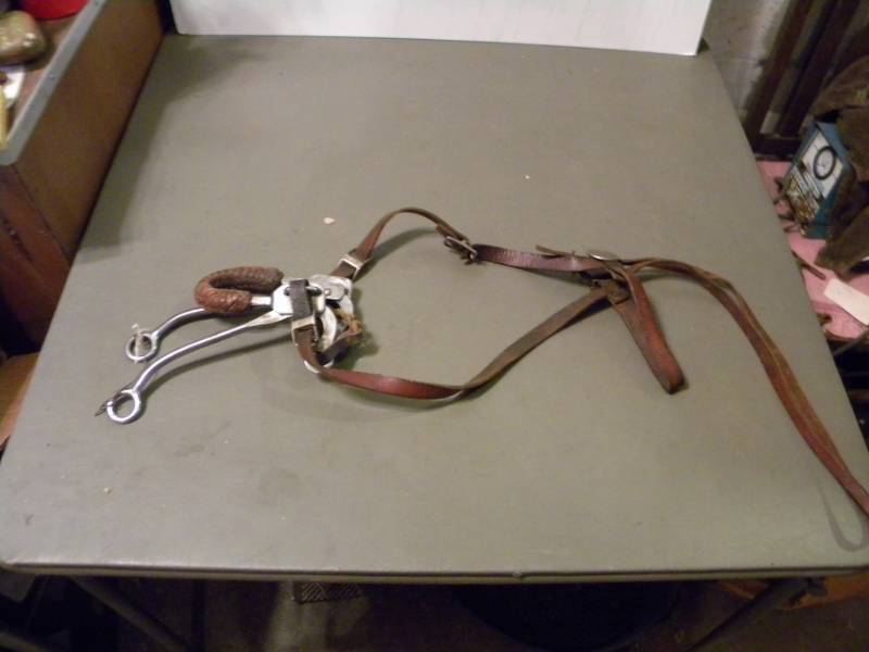 Horse Bridle
