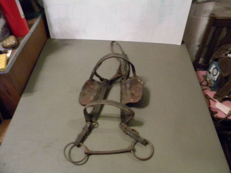 Horse Blinders